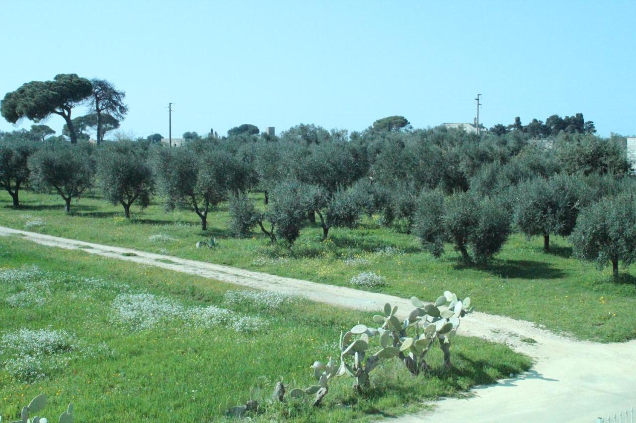Piccolo Ulivo B&B Salento Верноле Экстерьер фото
