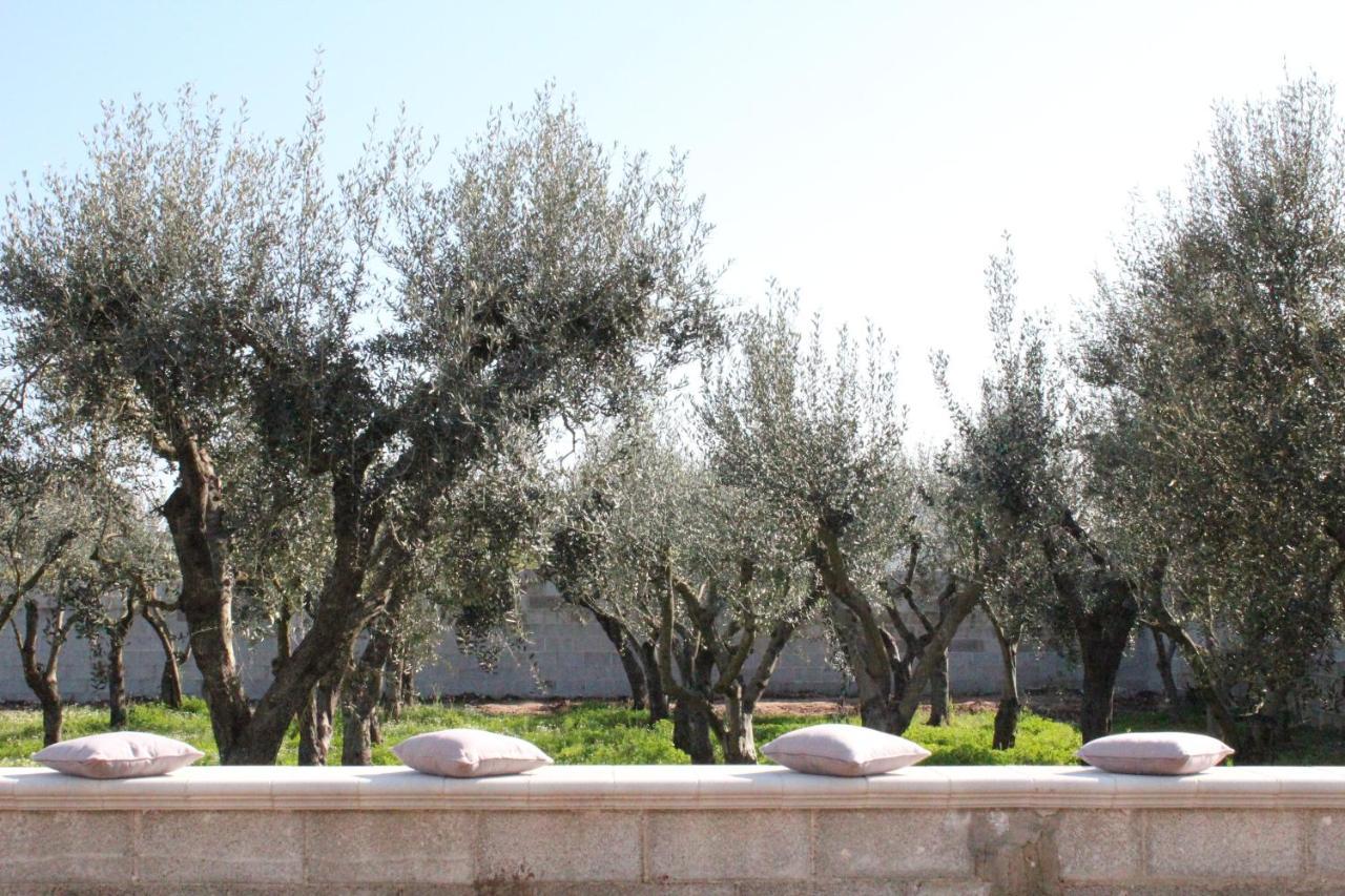 Piccolo Ulivo B&B Salento Верноле Экстерьер фото